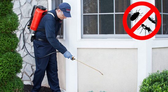 Akşehir Kemirgen İlaçlama böcek ilaçlama ve haşere kontrolü — ilaclama-tr.com